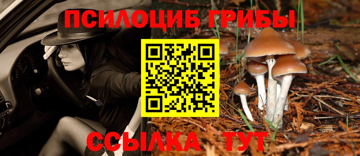 Астрахань  сколько стоит  Псилоцибиновые грибы MAGIC MUSHROOMS  Вход с VPN  Галлюциногенные грибы MAGIC MUSHROOMS 