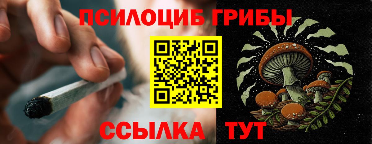 Галлюциногенные грибы GOLDEN TEACHER Астрахань